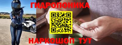 бошки Донской