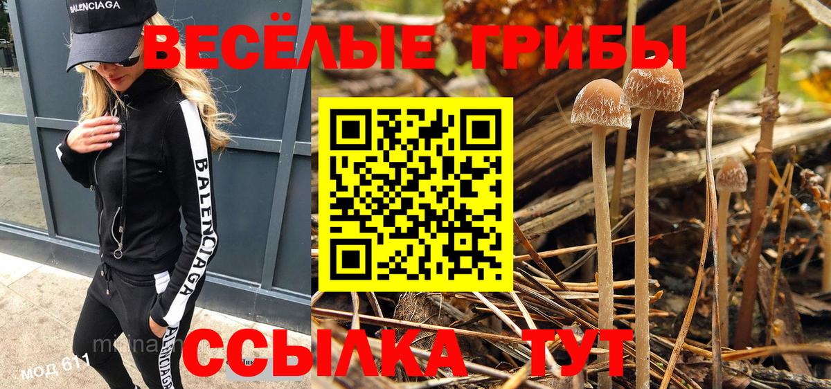 Михайловск  Псилоцибиновые грибы Cubensis  Вход с VPN 